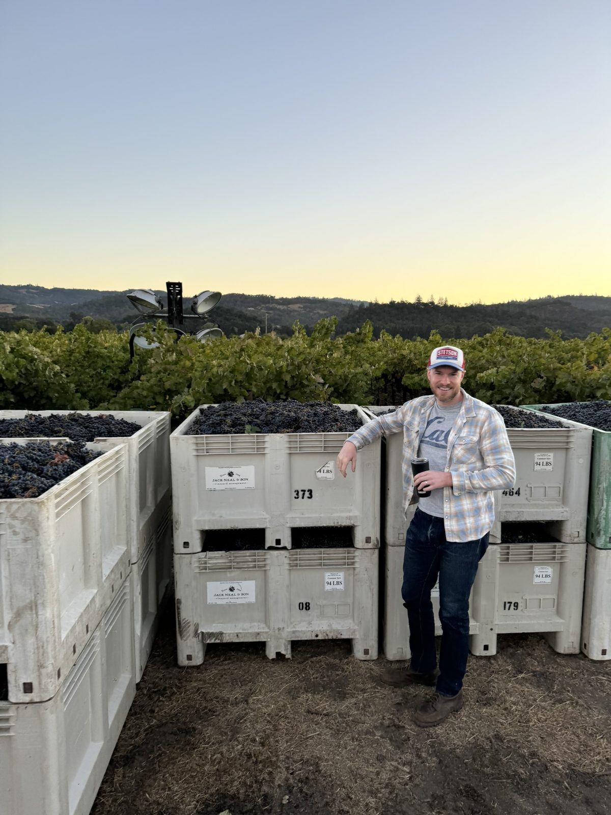 Alex at harvest, River Run Vineyard