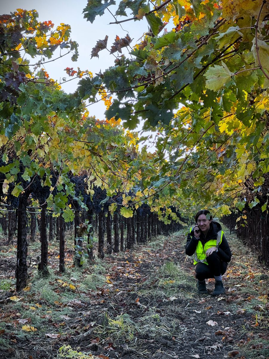 Jenny in the vine rows at River Run Vineyard